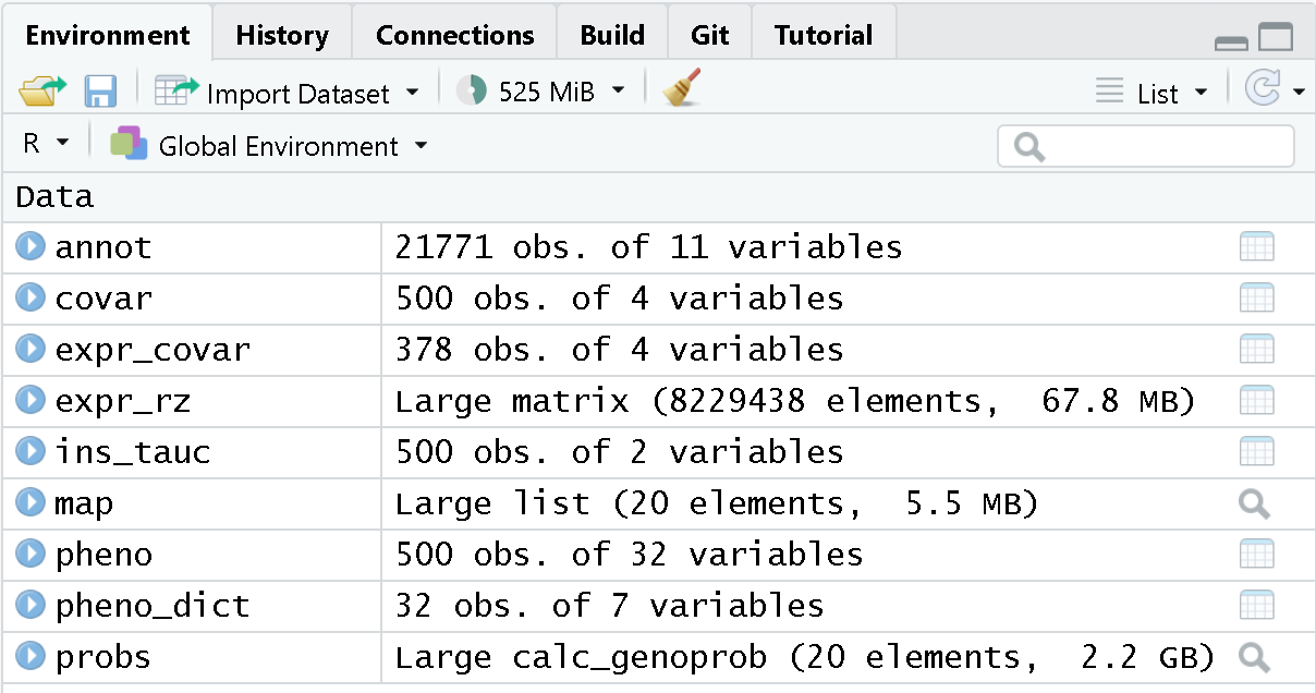 Picture of Environment tab with data objects.