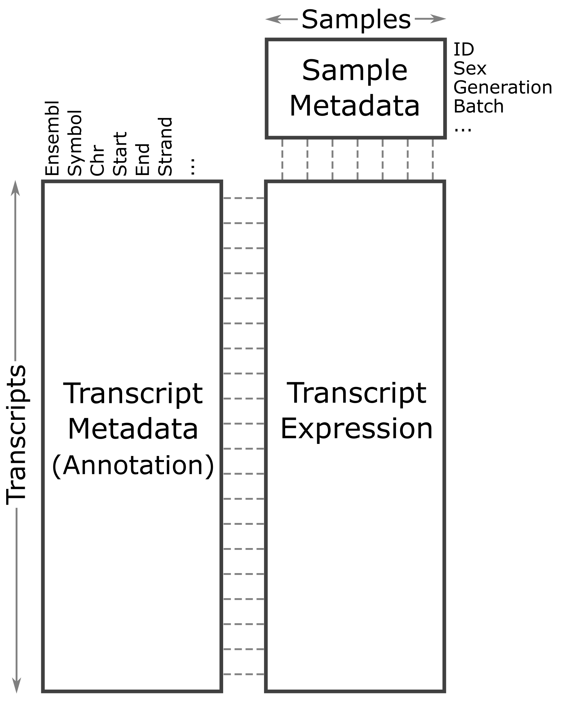 Figure showing relationship between samples, expression, and transcripts.