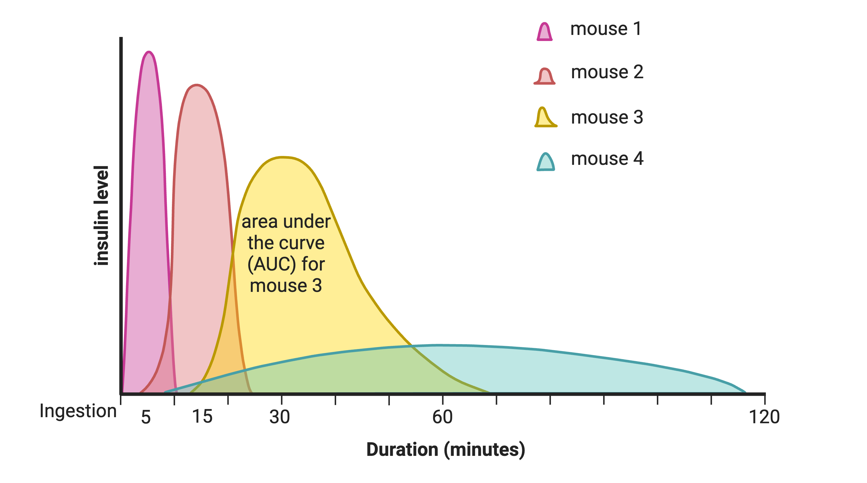 A plot showing four different curves reflecting insulin levels after administration of glucose starting at time zero