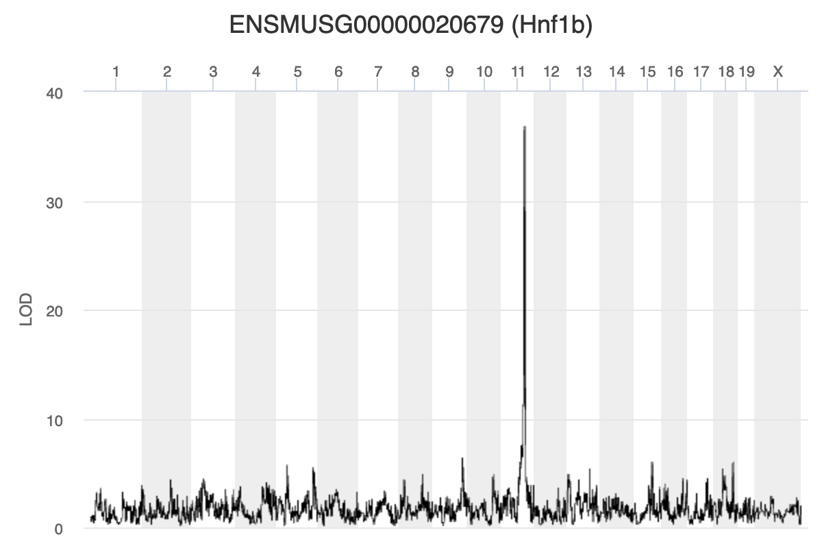 LOD plot for gene Hnf1b.