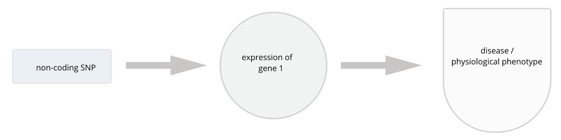 Here a non-coding SNP influences expression of a gene, which in turn affects a disease phenotype or other outcome of interest.