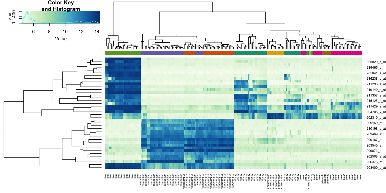 Heatmap created using the 40 most variable genes and the function heatmap.2.