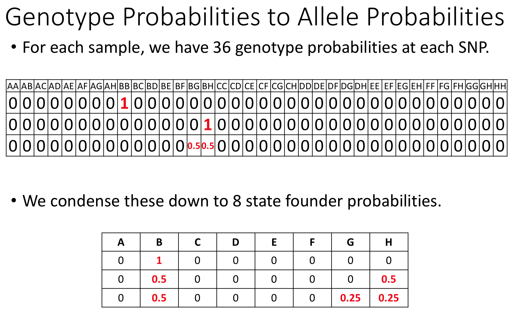 Quantitative Trait Mapping: Calculating Genotype Probabilities