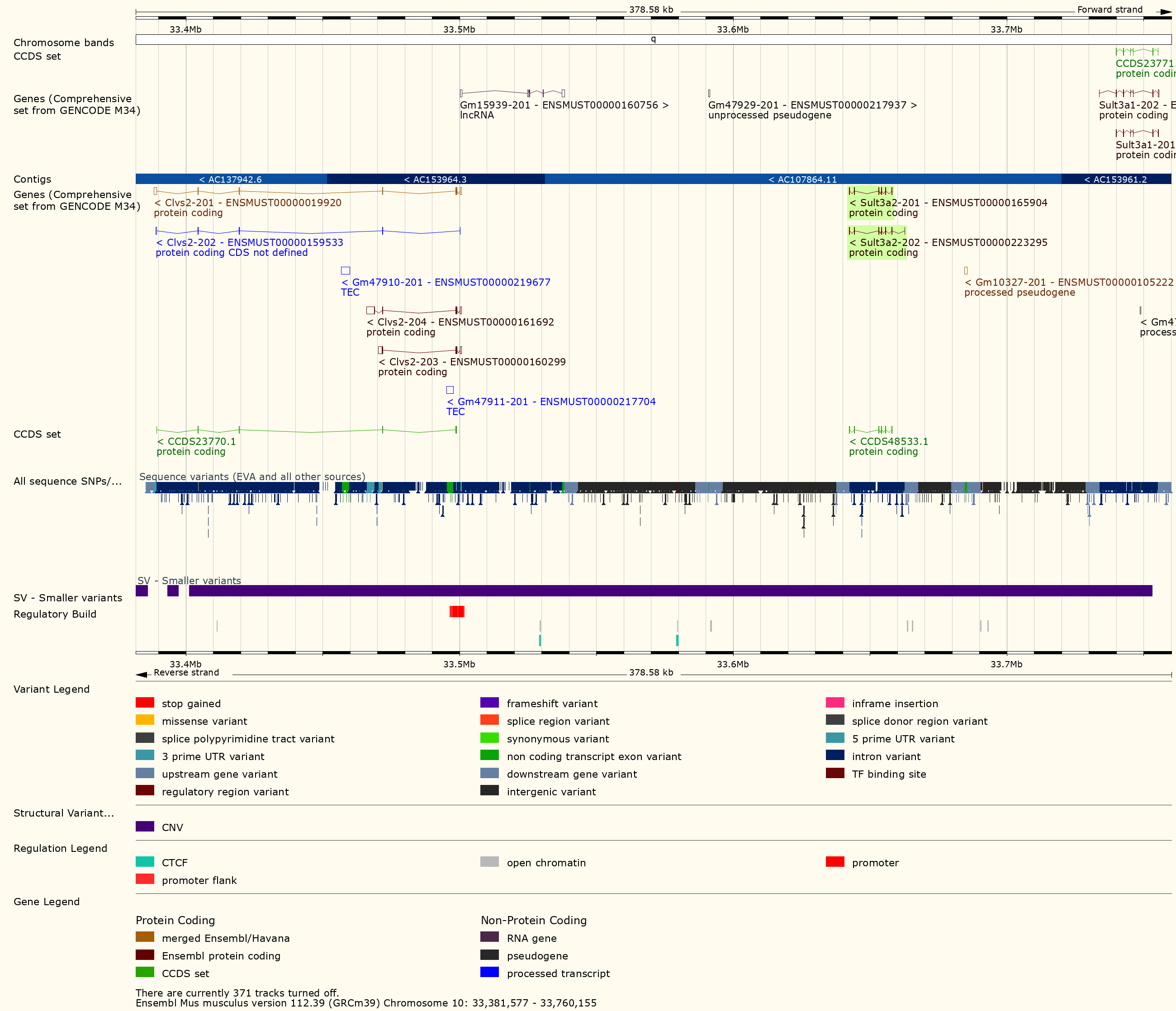 Ensembl Structural Variants