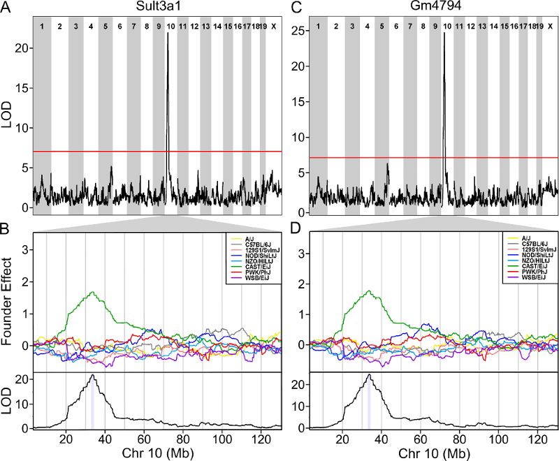 Sult3a1/Sult3a2 Liver eQTL