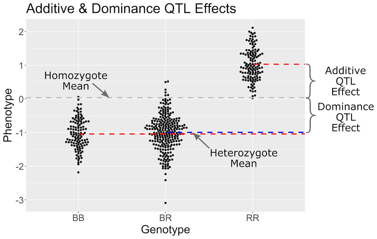 Figure showing additive & dominance QTL effects