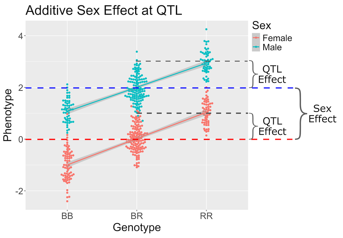 Figure showing sex and additive QTL effects.