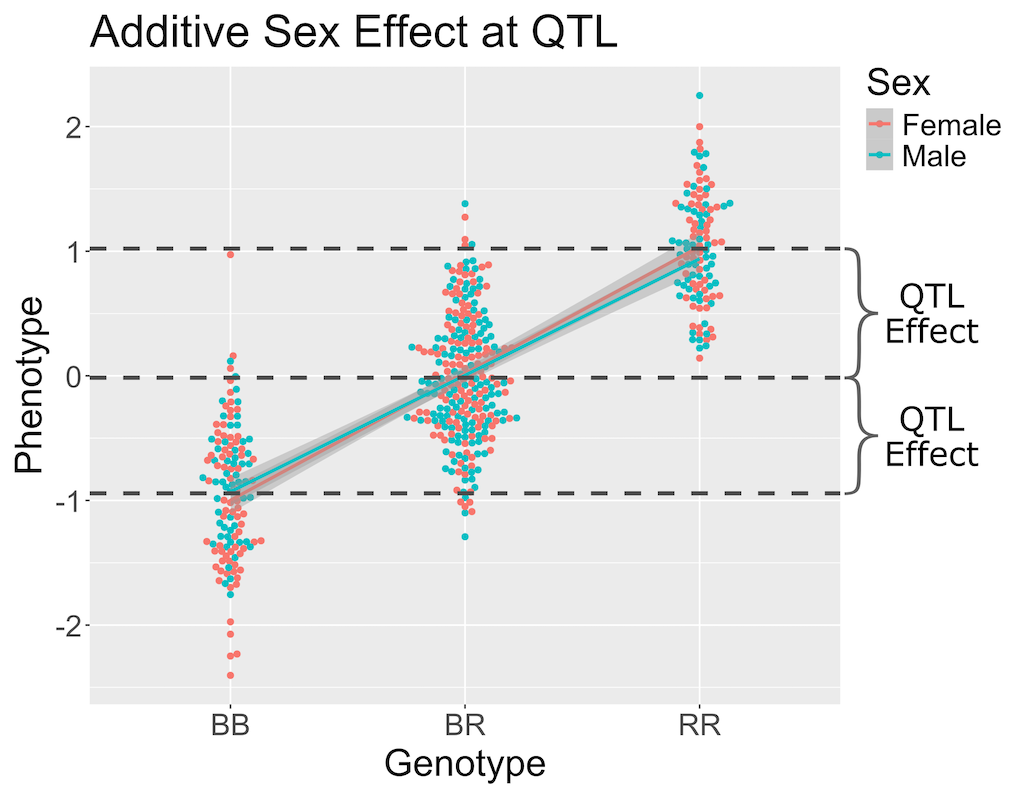 Figure showing sex and additive QTL effects.