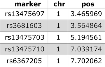 Table showing top five rows of physical marker map.