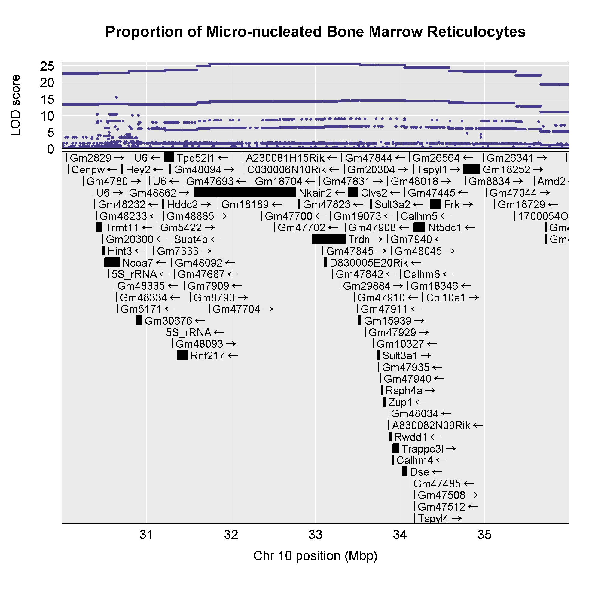 Bone Marrow MN-RET Association Mapping