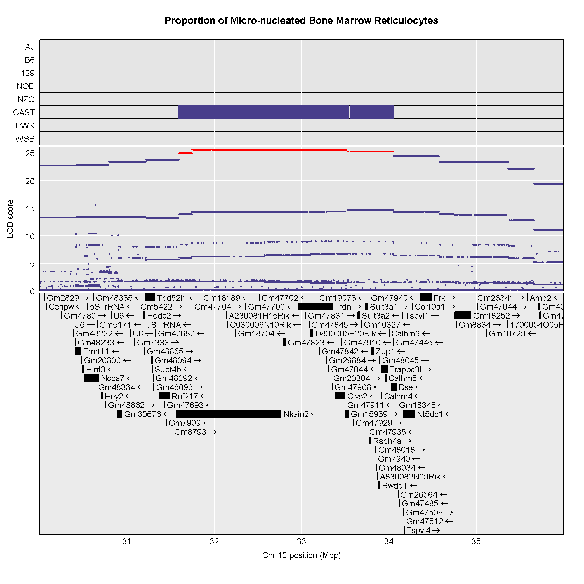 Bone Marrow MN-RET Association Mapping