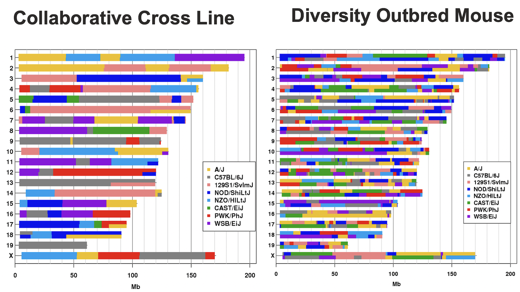 Figure showing CC and DO genomes