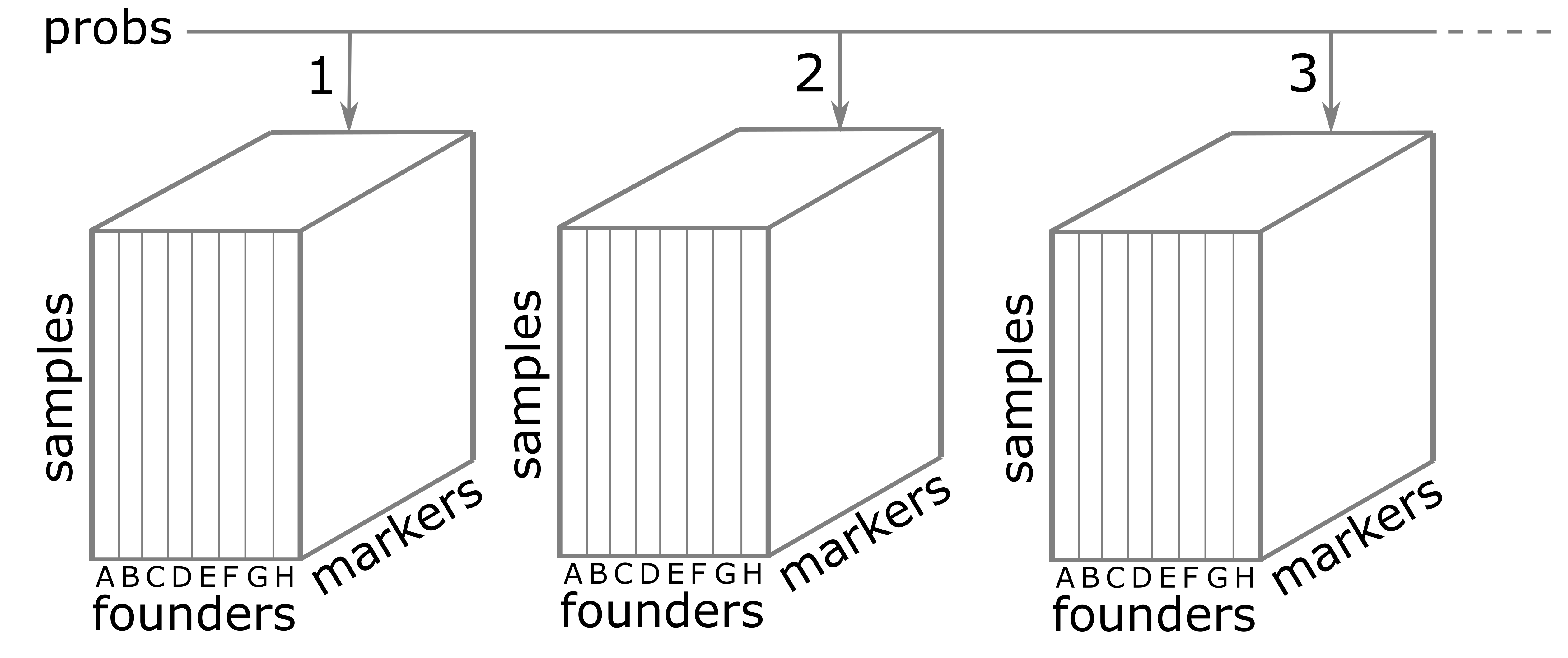 Three-dimensional figure of genoprobs list.