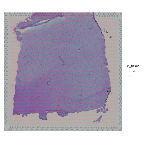 Histology slide with tissue and background spots labelled