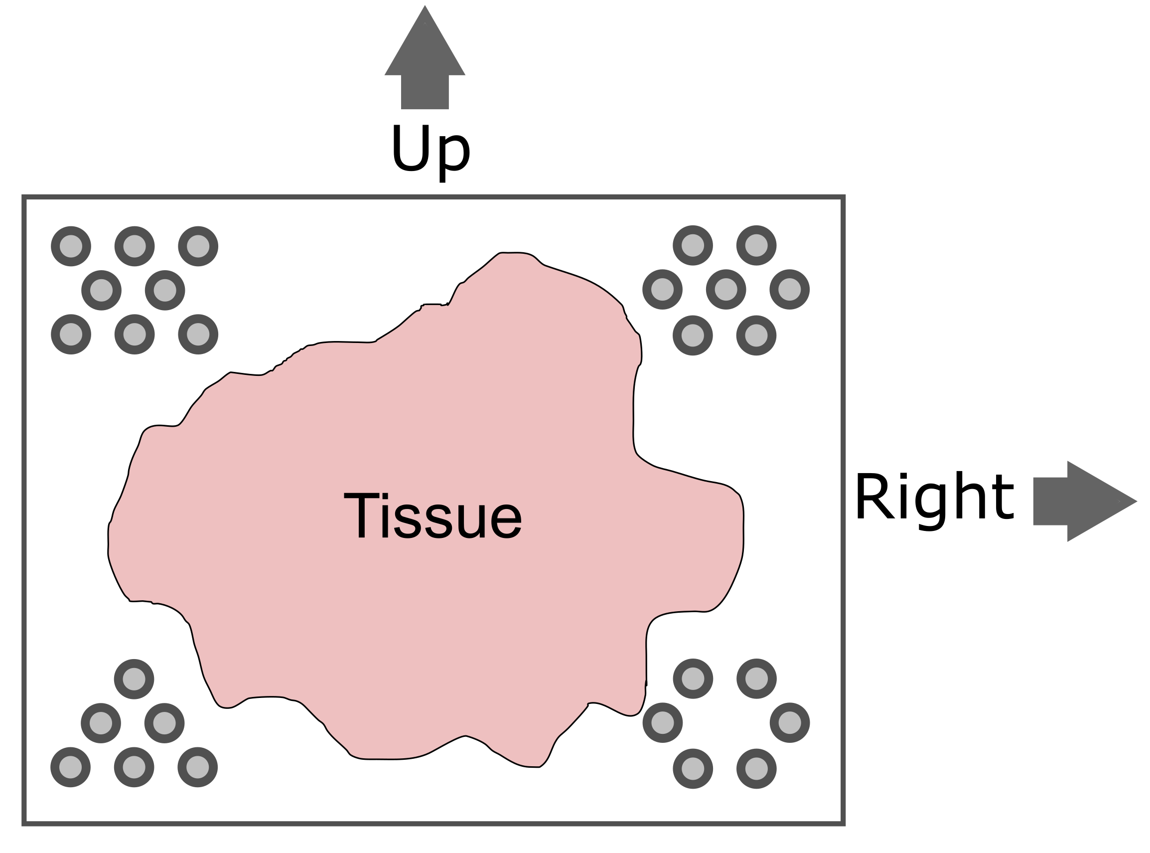 Diagram showing tissue and registration spots in corners