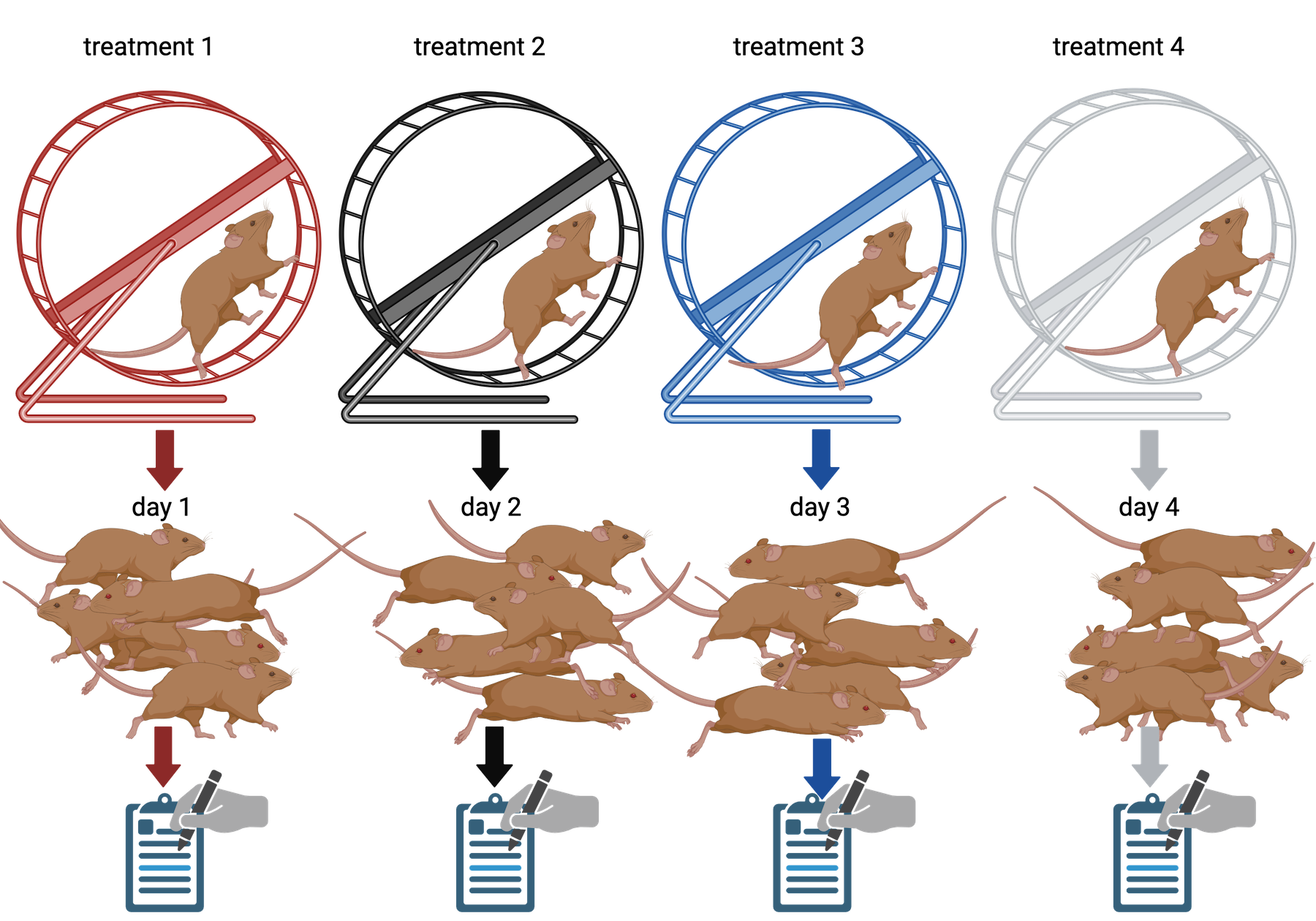 Four different wheel running treatments applied to 5 mice each. Treatment 1 is applied on day 1, treatment 2 on day 2, and so on.